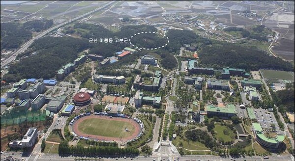 군산대, 대학 내부에 위치한 마한의 지배자 무덤 문화재 발굴조사 착수